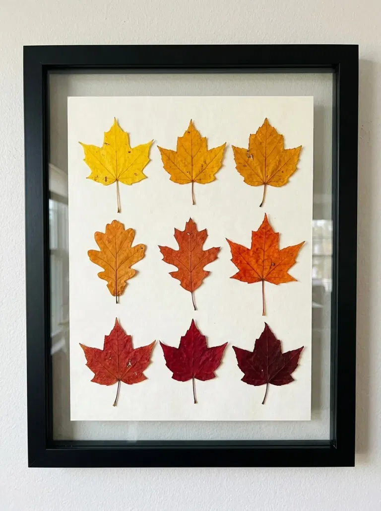 Framed Leaf Color Gradient